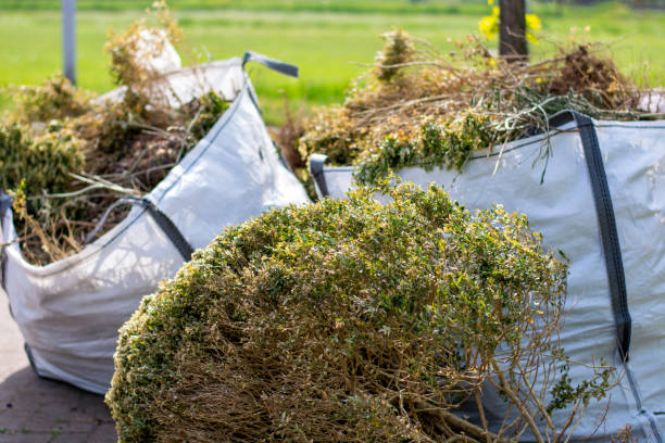 Trash Removal Near Me in Gulfport, MS